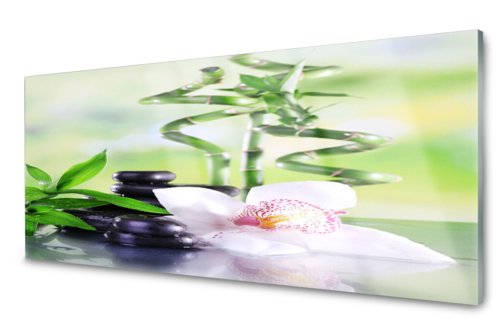 Sklenený panel do kuchyne Orchidea Bambus Spa 125x50