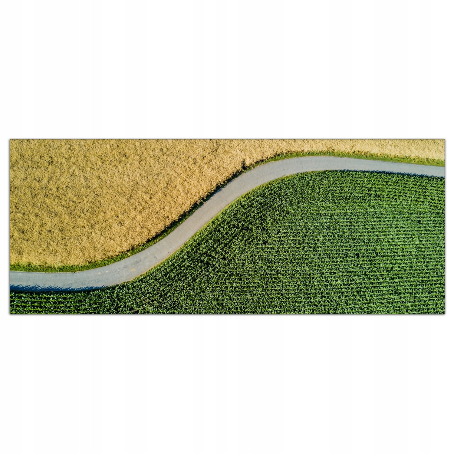 

Obraz na szkle Foto Krajobraz Pole Droga 125x50