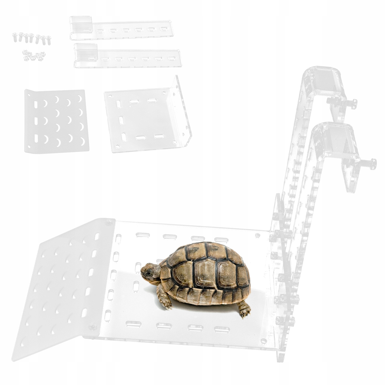 Ostrov Plošina Plovoucí Plošina Pro Želvy Zelená