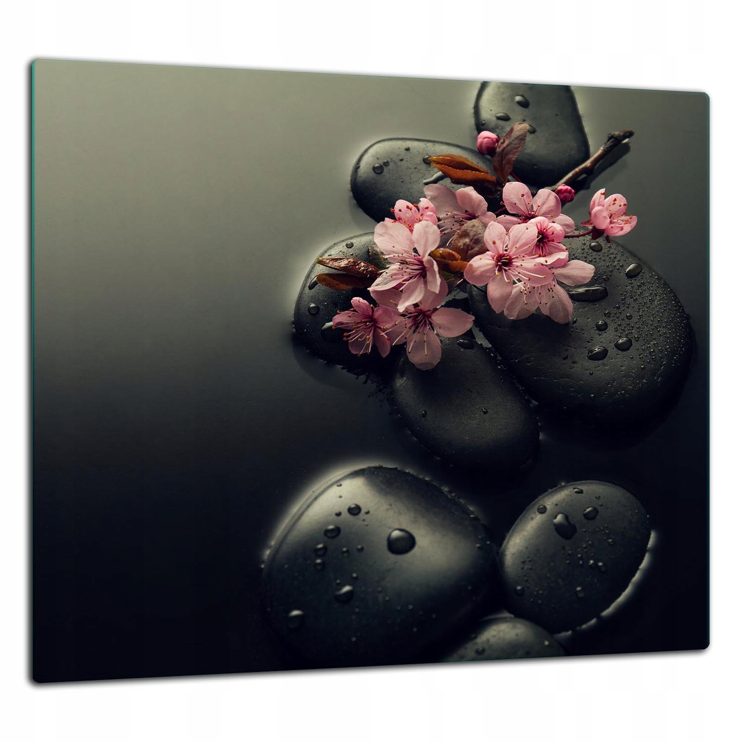 Skleněná Ochranná Deska Panel Lepidlo 65x60 Kaktus