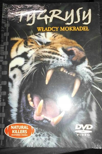 Tygrys władca mokradeł