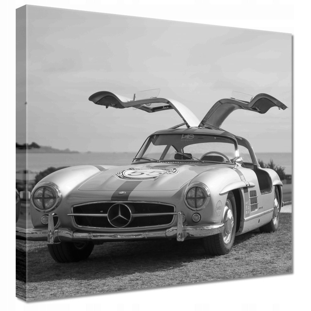 

Obrazy 40x40 Mercedes Gullwing