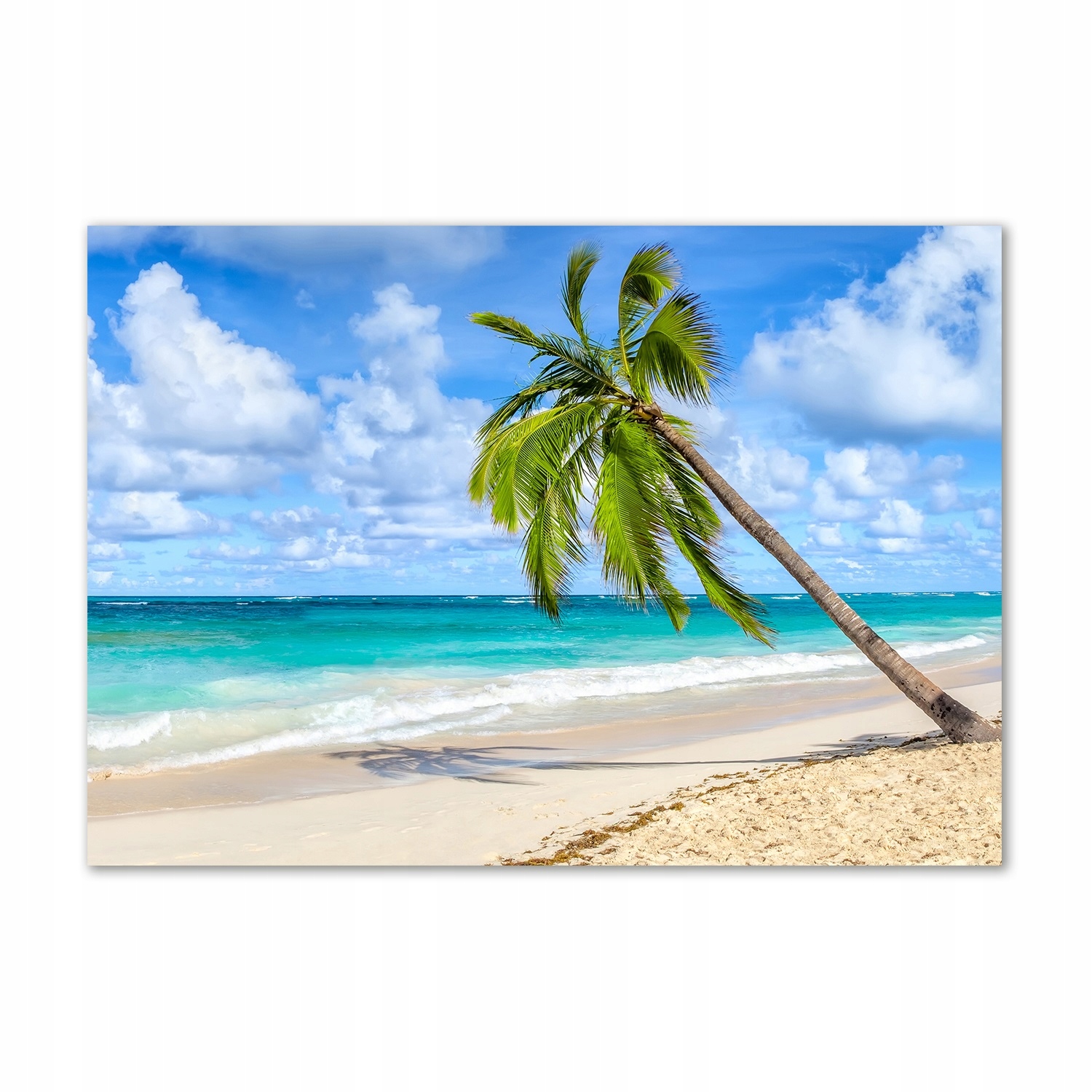 

Foto obraz szkło akrylowy Tropikalna plaża 100x70
