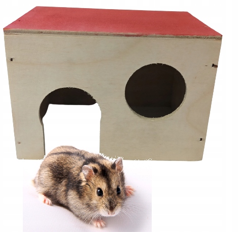 Домик для хомяка мыши деревянный
