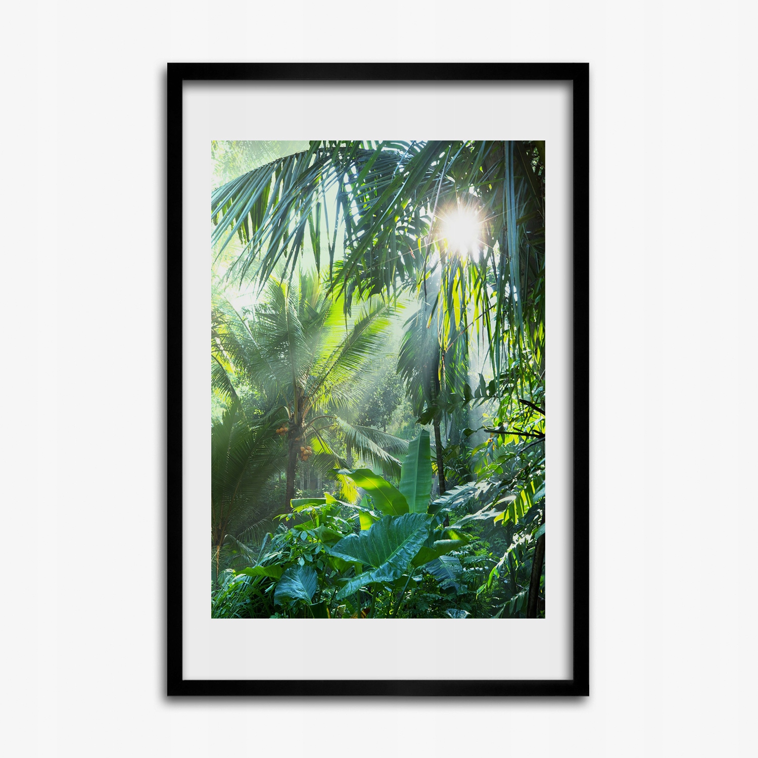 Fotoobraz na zeď do kanceláře rámeček Džungle 40x60