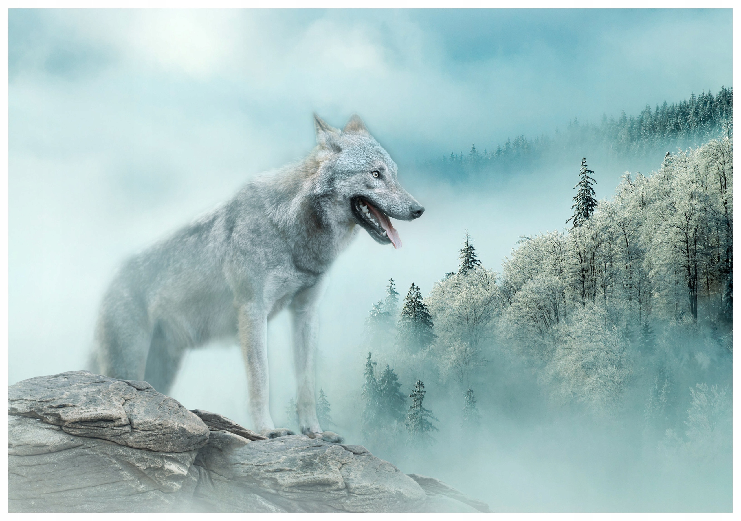 Vliesová fototapeta Zimní vlk v mlze a sněhu, krajina 368x254 lepidlo