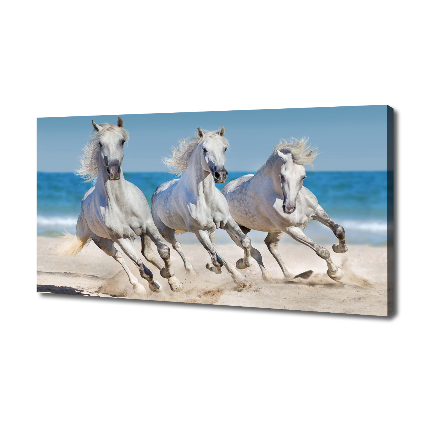 

Foto obraz na płótnie Białe konie plaża 140x70 cm