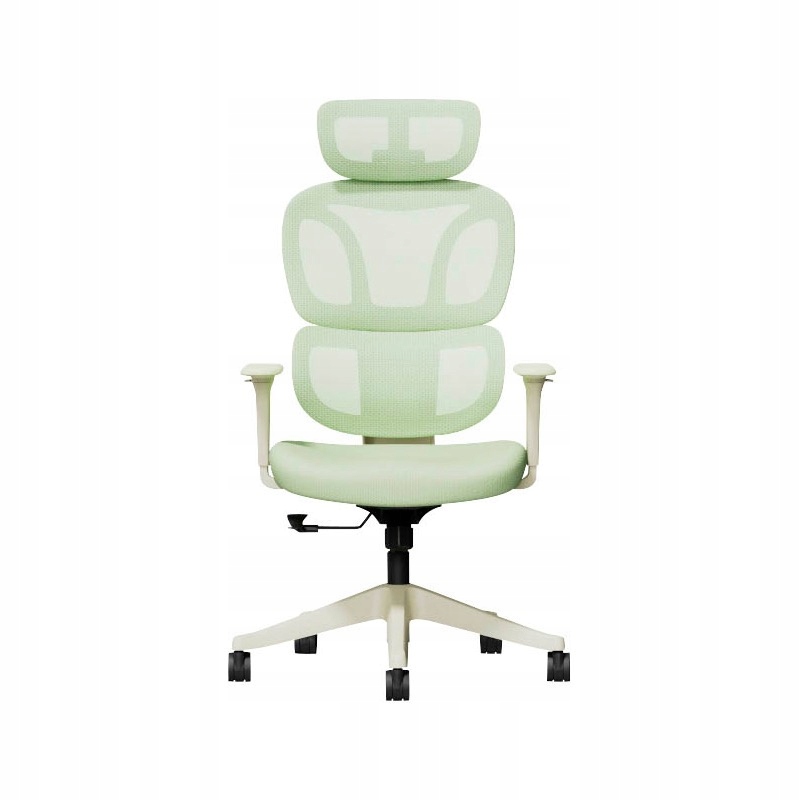 Ergonomiczne krzesło FlexiSpot BS5LG zielone, fotel biurowy, regulowany