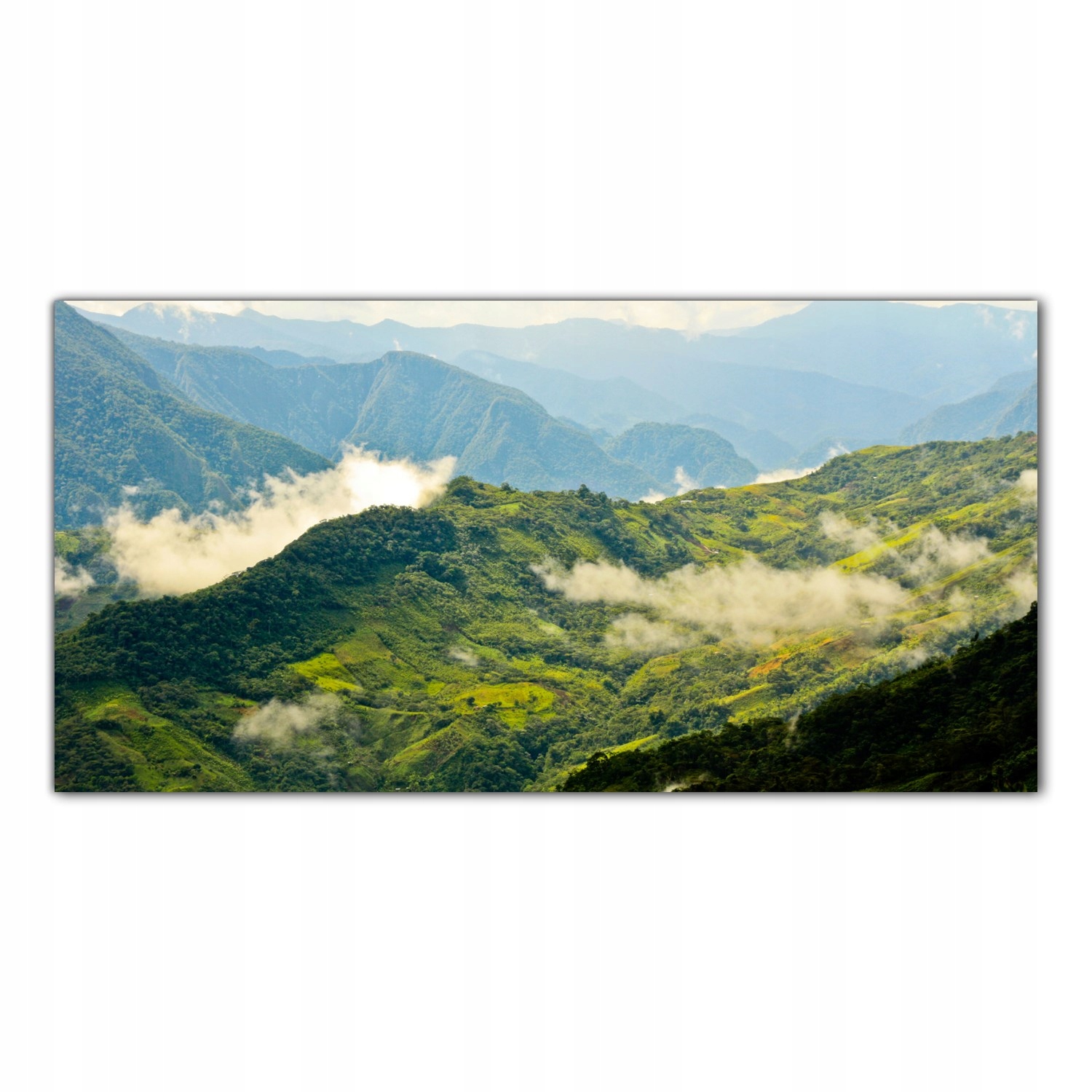 

Obraz na szkle Foto Las Deszczowy Tropiki 120x60