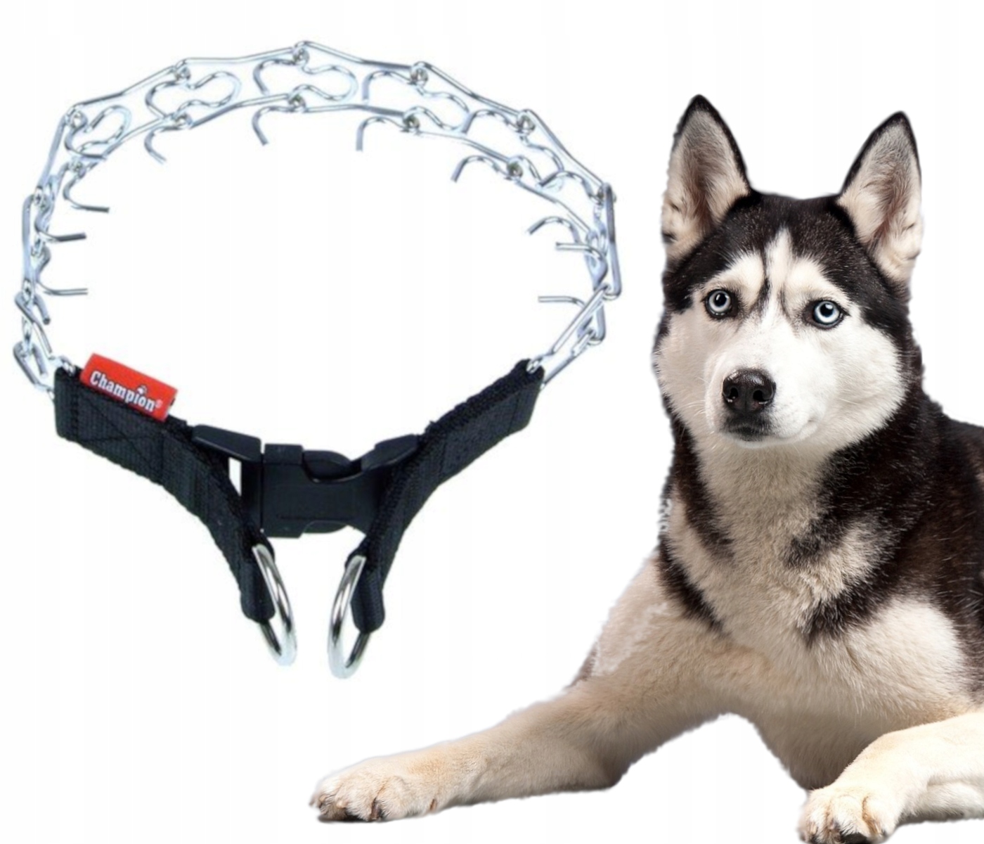 

Champion Kolczatka [2T]