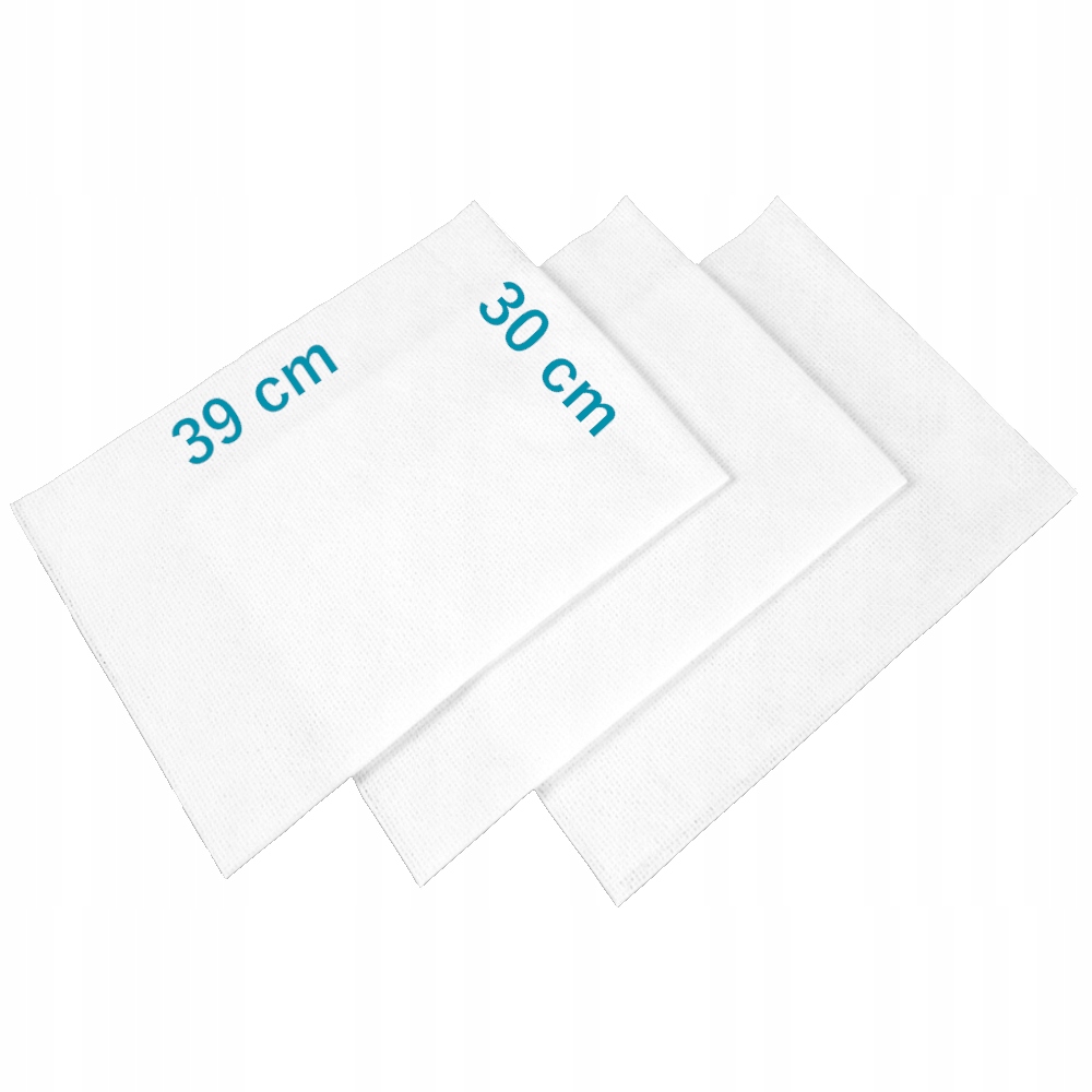 CZYSCIWO POLIESTROWE BEZPYLOWE GLADKIE PROFI Weight 2 88 kg