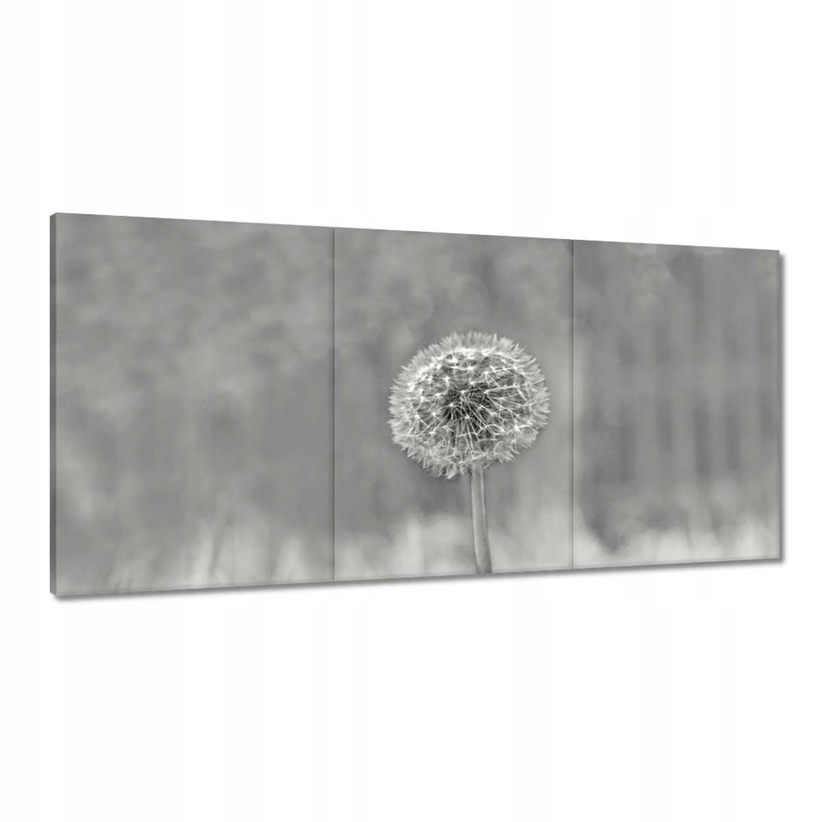 Obrazy 180x90 Púpava