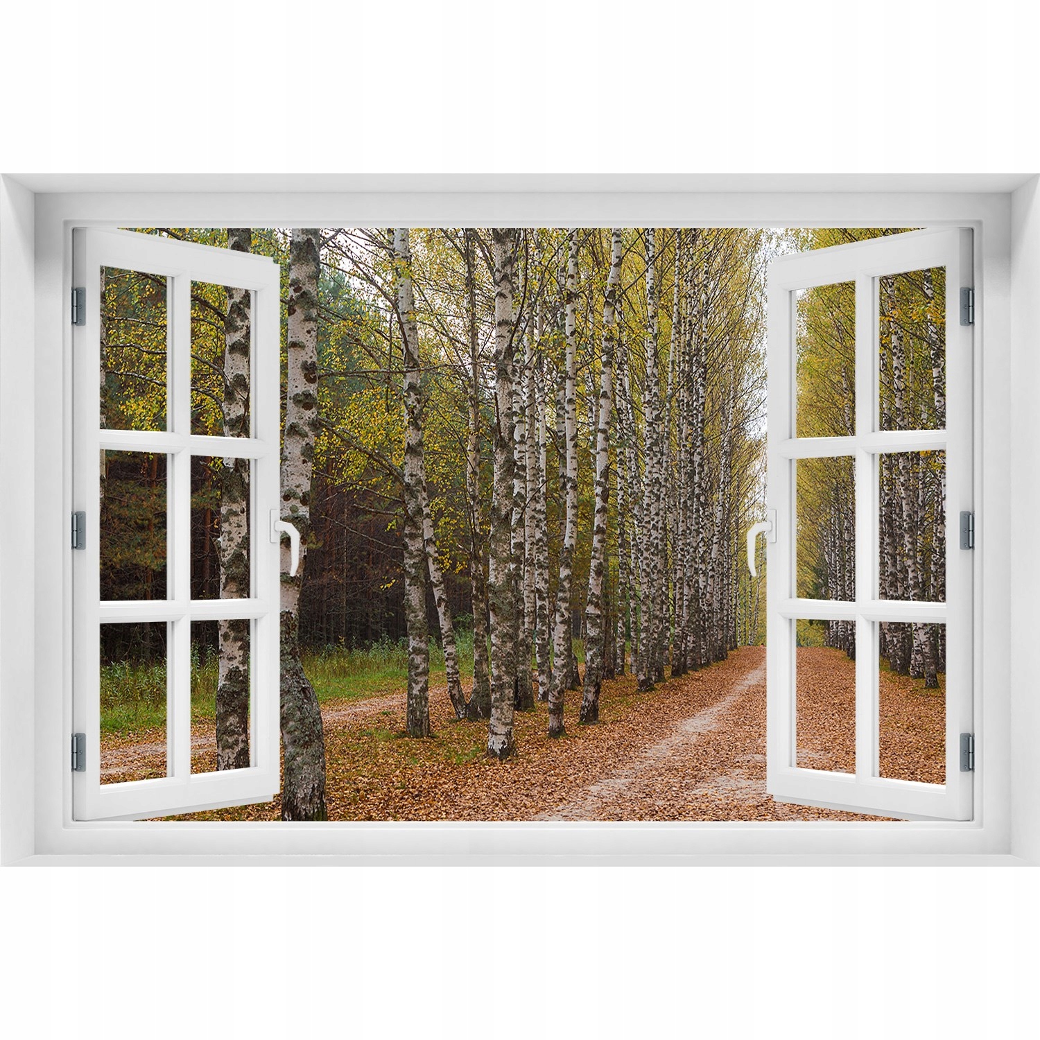 

3D Okno Naklejka na ścianę Aleja brzóz 90x60