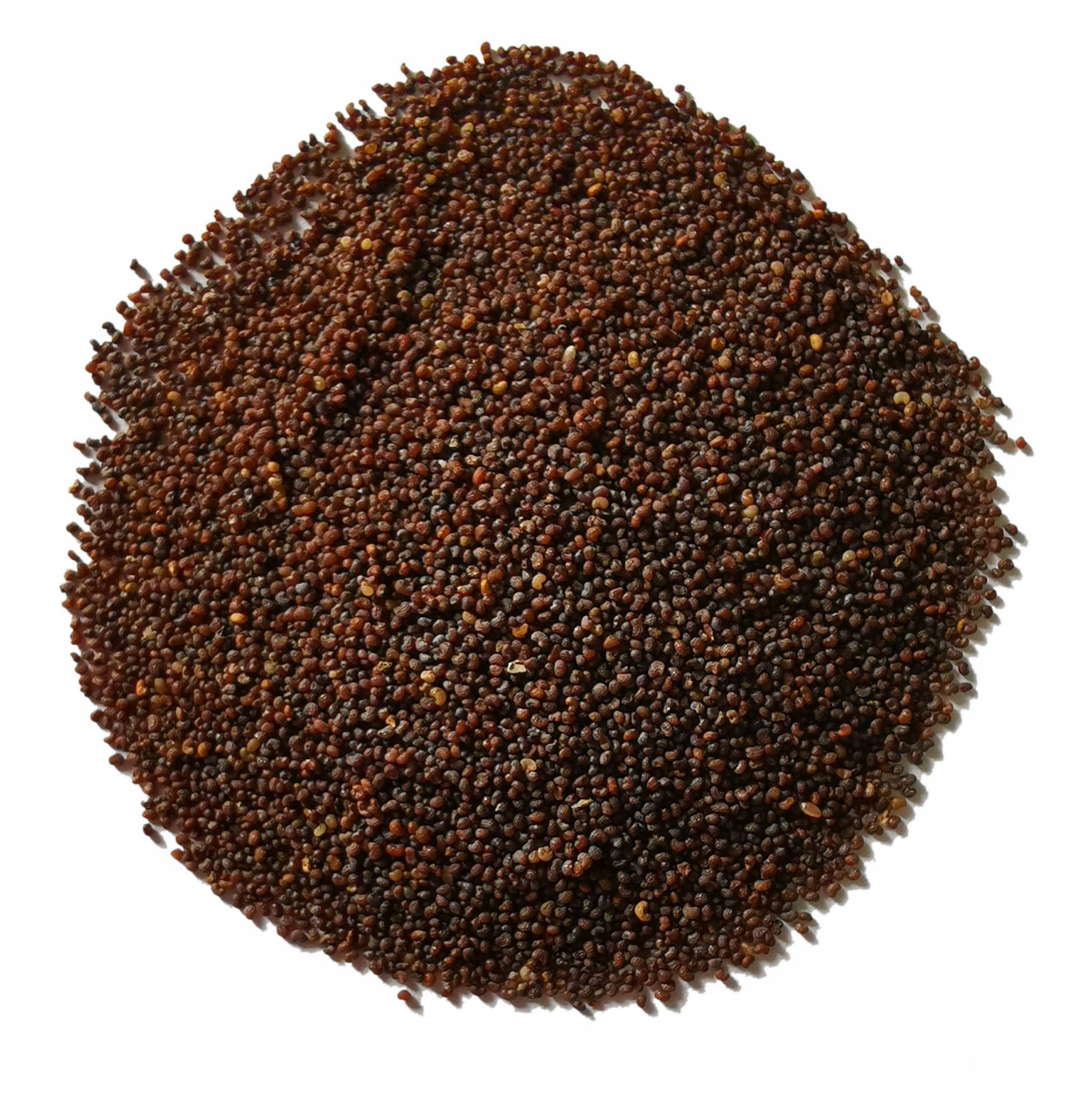 Mak polny czerwony - nasiona - 100 gram
