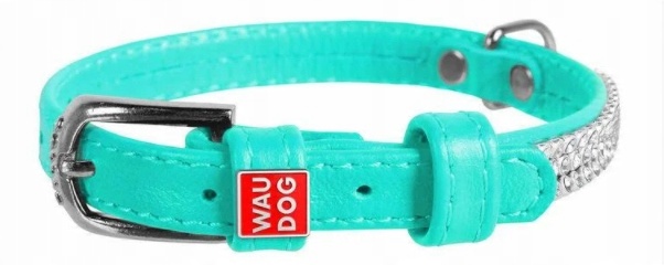 

Obroża Dla Psa Ze Skóry Waudog Collar 12MM 21-29CM