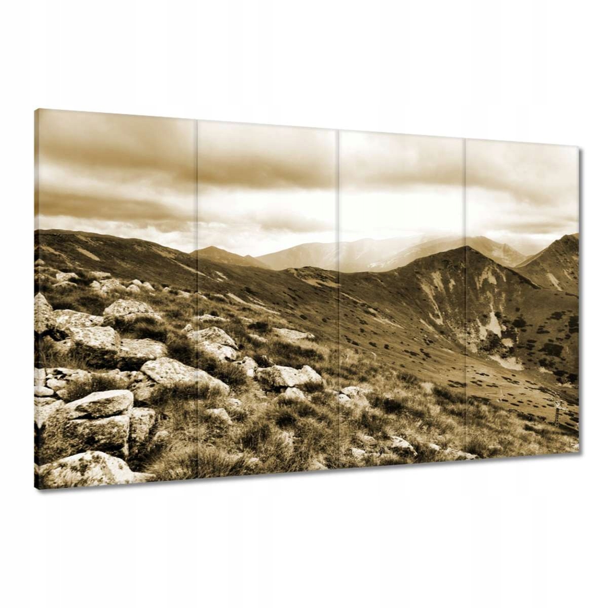 Obrazy 120x80 Tatry Polské hory Pohled