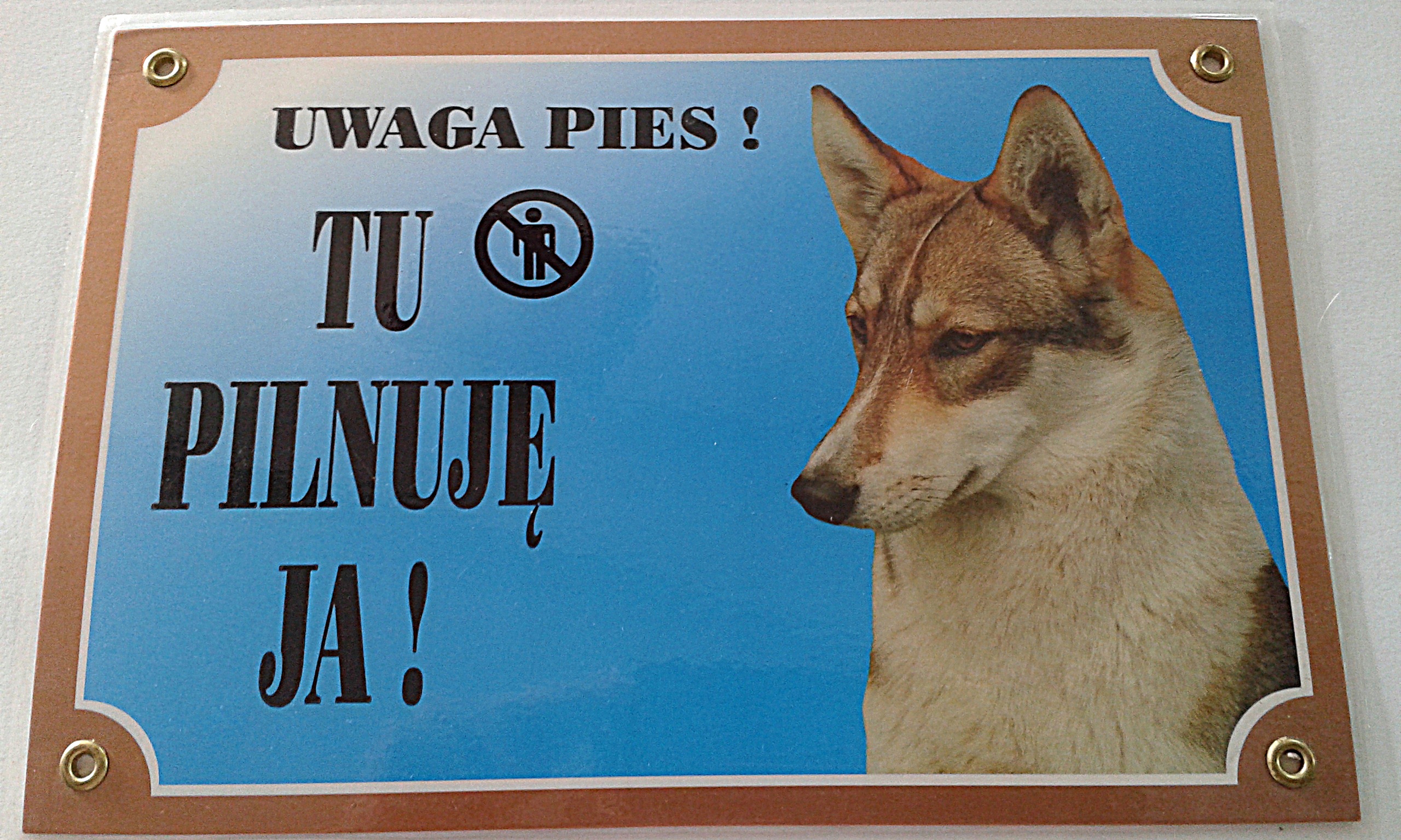 

Tabliczka laminowana Pies