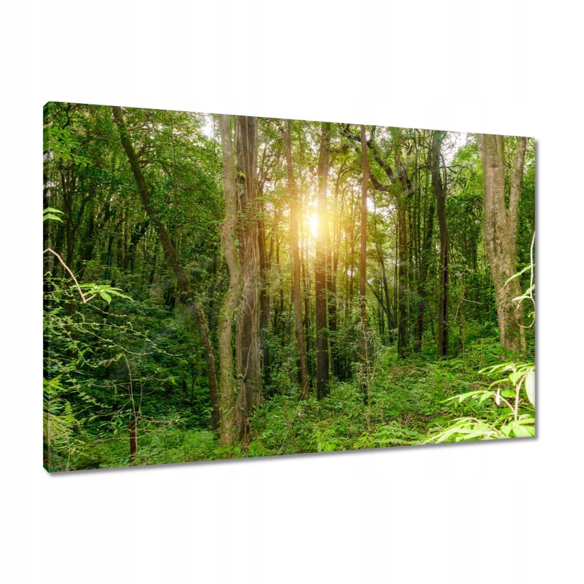 Obrazy 90x60 Krajinný park