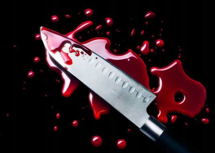 SZTUCZNA KREW FX BLOOD PROFESSIONAL HALLOWEEN 1L Typ krew