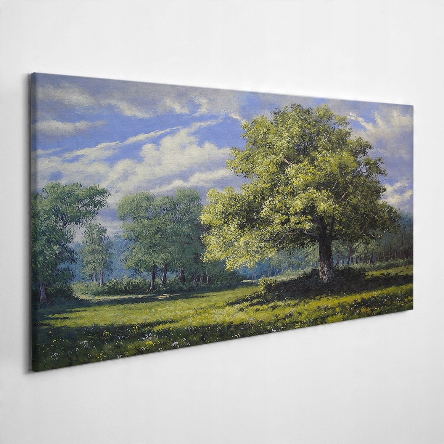 

Foto-obraz na ścianę Krajobraz Art Drzewa 120x60