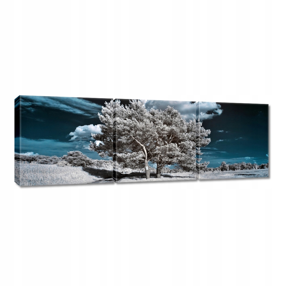 

Obrazy 120x40 Drzewko