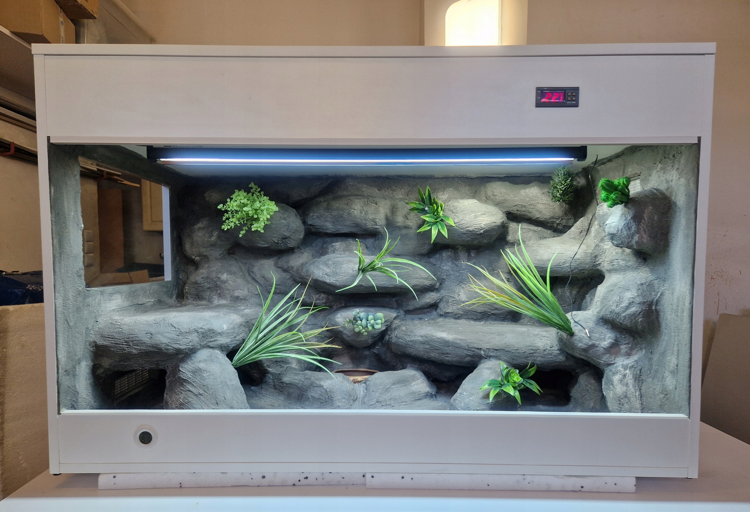 Pouštní Terárium Pro Agamy 120x60x60 Objednávka Aranžování Vybavení