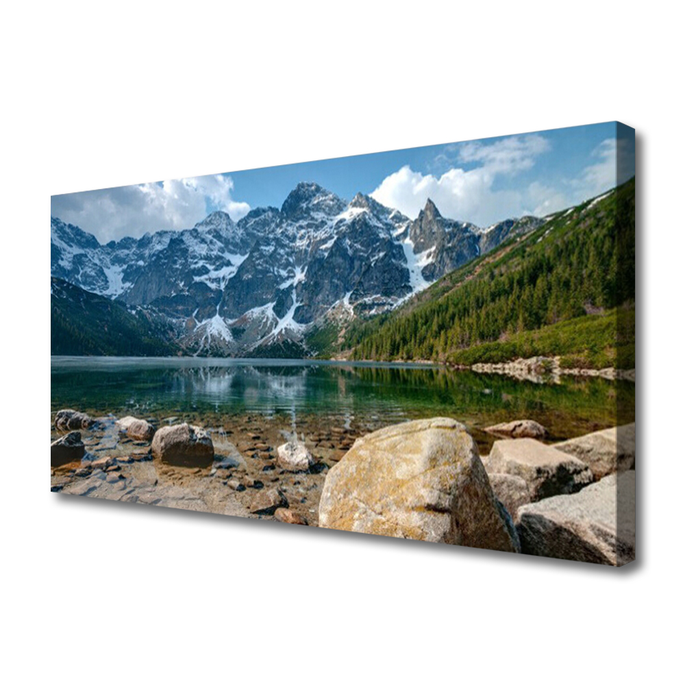 

Obraz na Płótnie Góry Las Jezioro Tatry 100x50