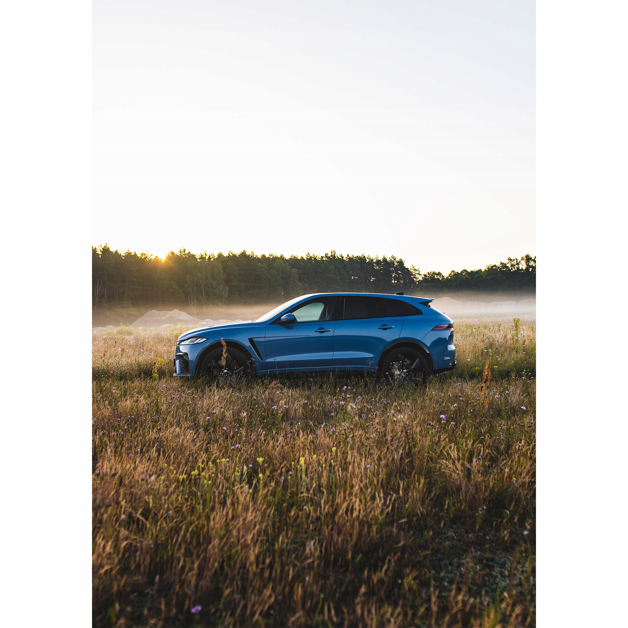 Плакат 70x100cm-Jaguar F-Pace-Count2t3n