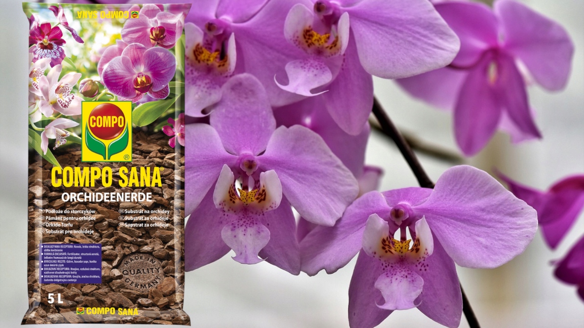 ZIEMIA PODŁOŻE DO STORCZYKÓW ORCHIDEI COMPO AŻ 5L Rodzaj ziemia uprawna