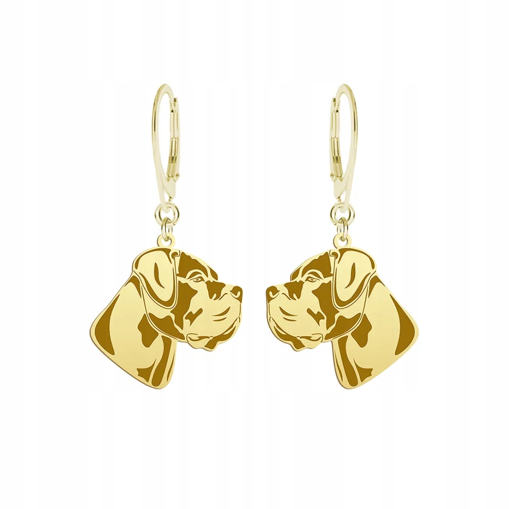 Náušnice Zlaté s Cane Corso 925 Šperky Bigiel Gravírování Dedikace Bonus