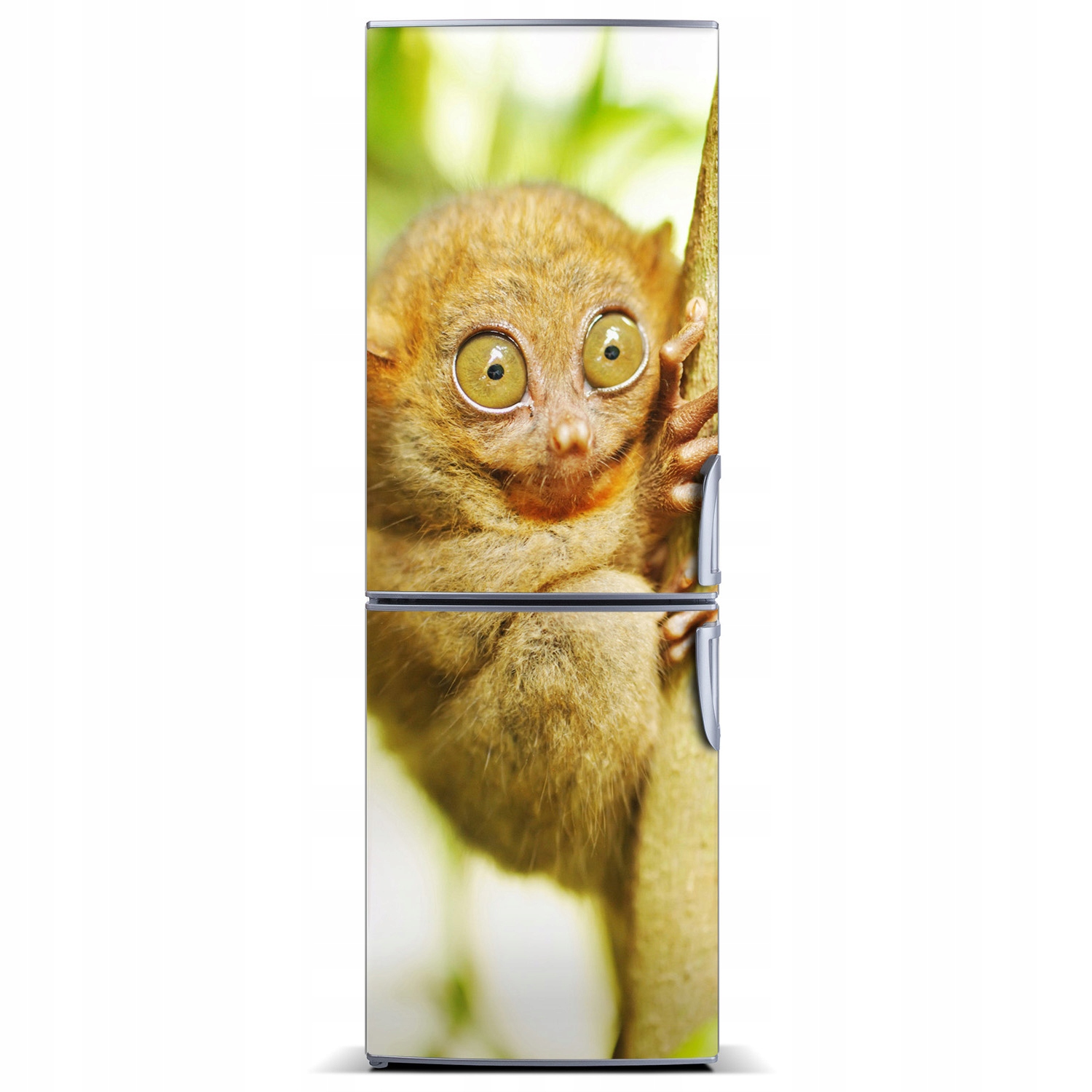 

Naklejka Magnes na lodówkę Wyrak upiorny XL