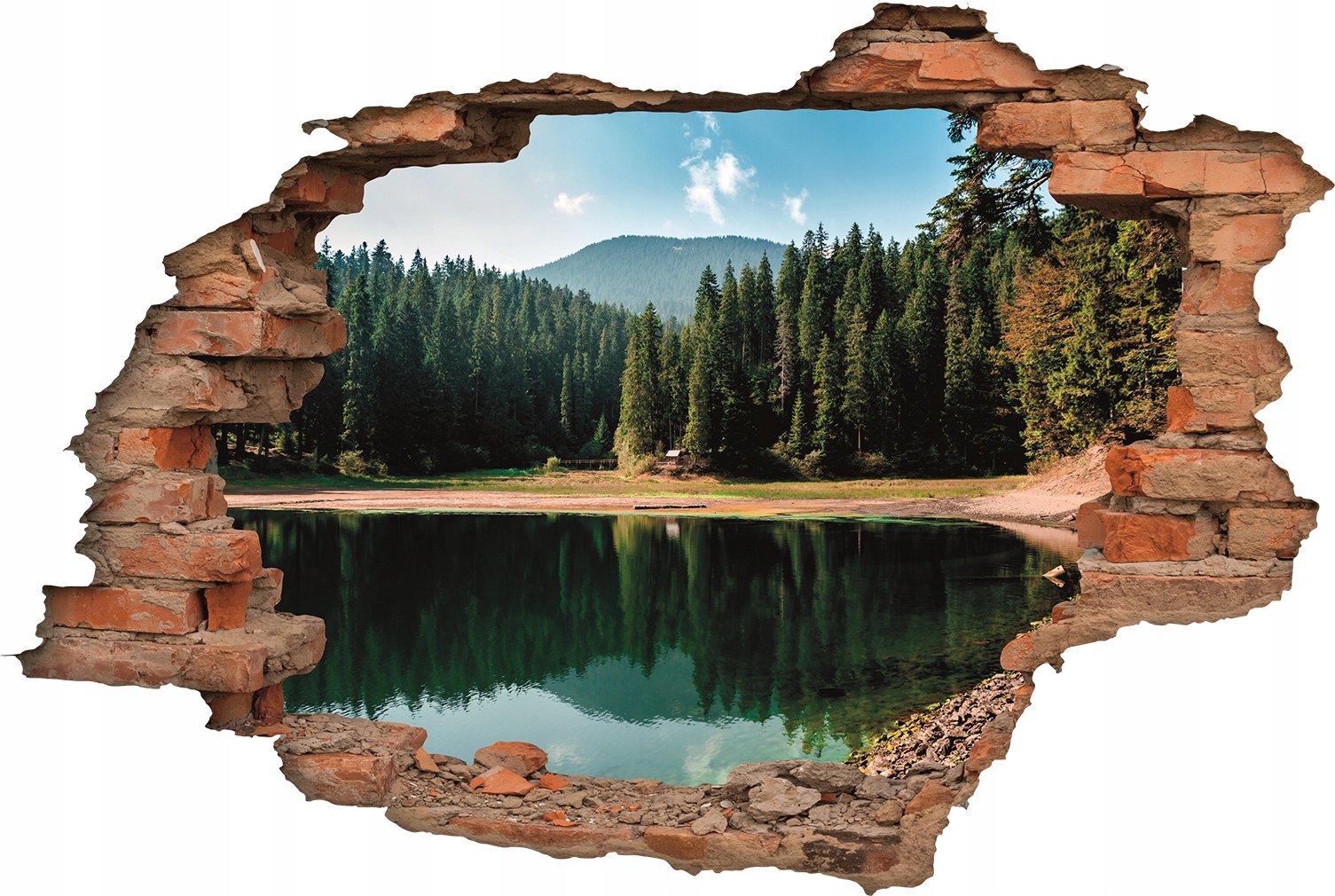

Fototapeta 3D naklejka na ścianę dziura z cegieł