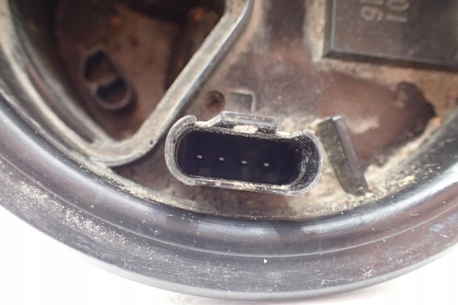 3a0572f241309773d5d9997fb5ae