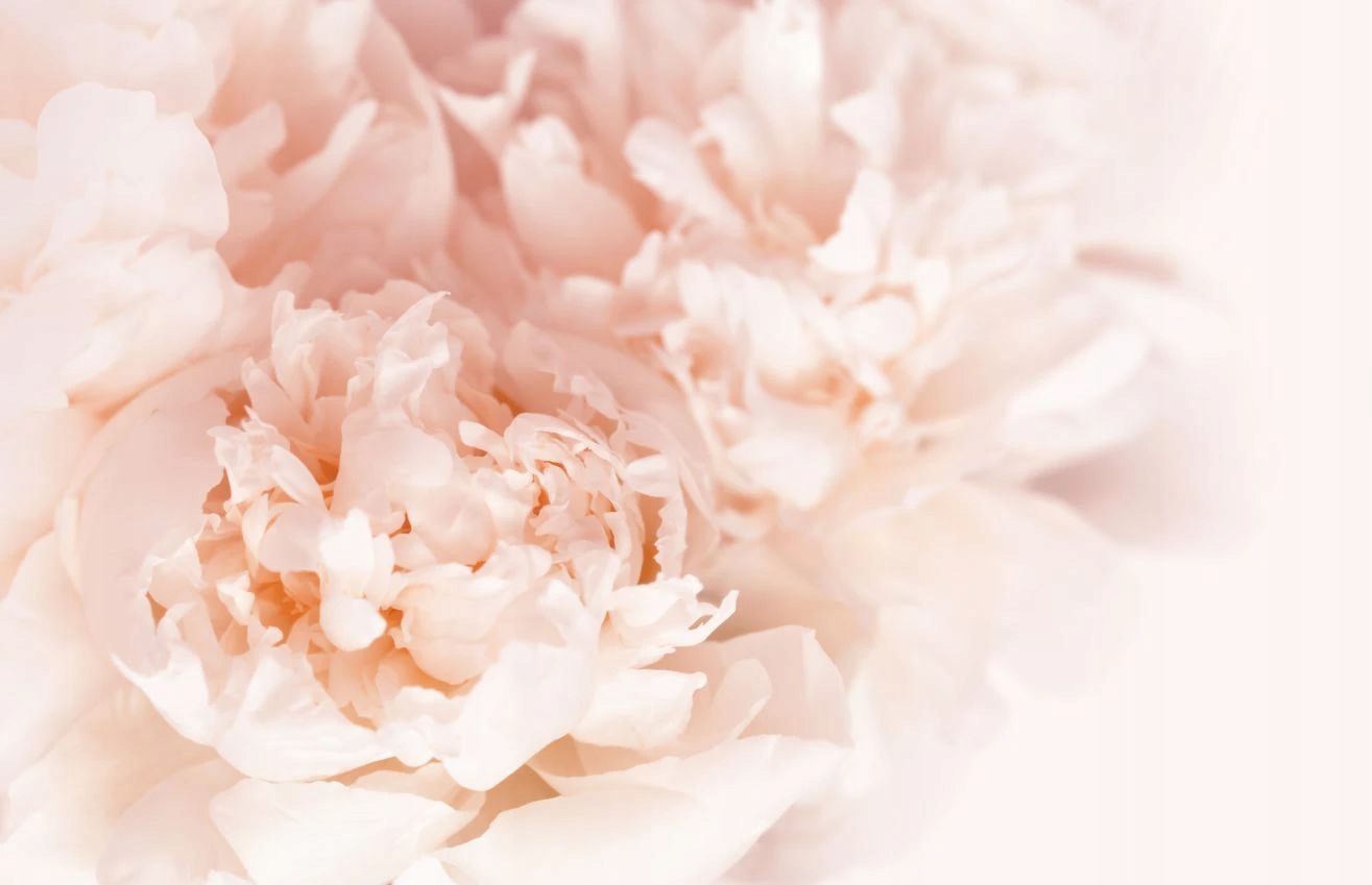 Kryt na radiátor Maskovač radiátoru Magnetická podložka Ozdoba 60x100