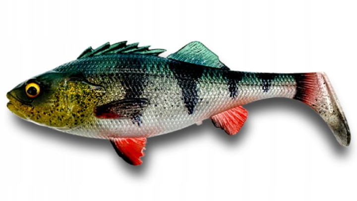 Savage Gear 4D Perch Shad 17.5cm Green Silver