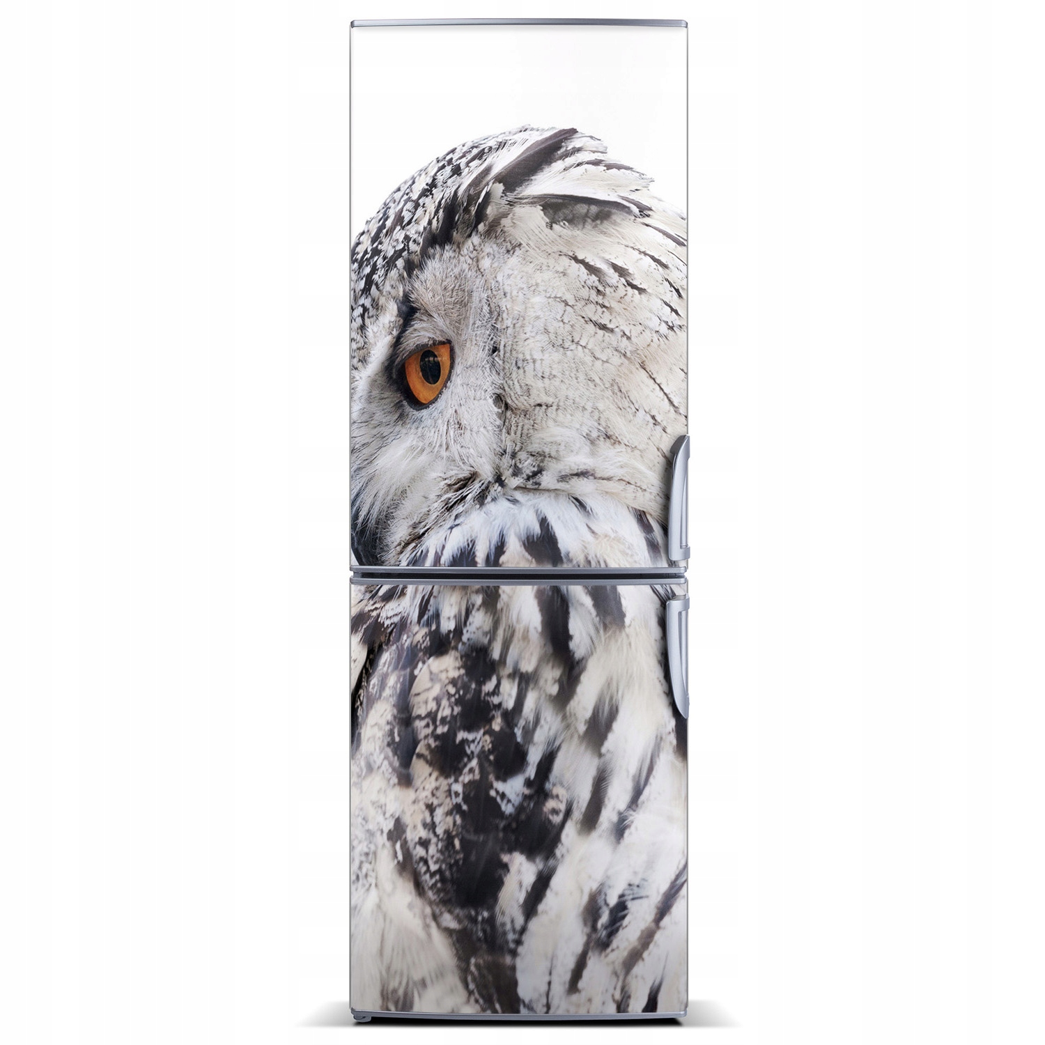 

Mata magnetyczna na lodówkę Biała sowa 60x180