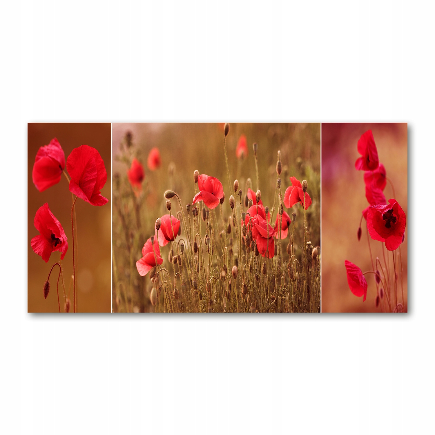 

Foto obraz akryl zdjęcie Maki mozaika 120X60 cm