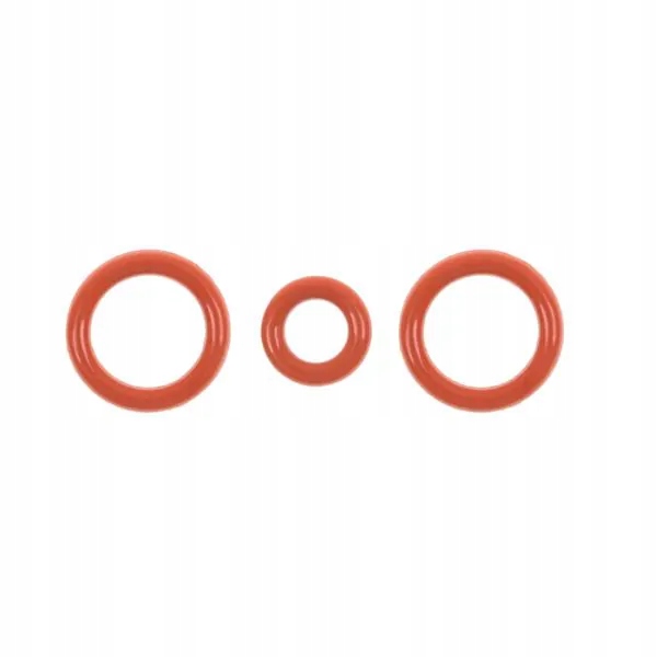 Saeco zawór uszczelka nr 9