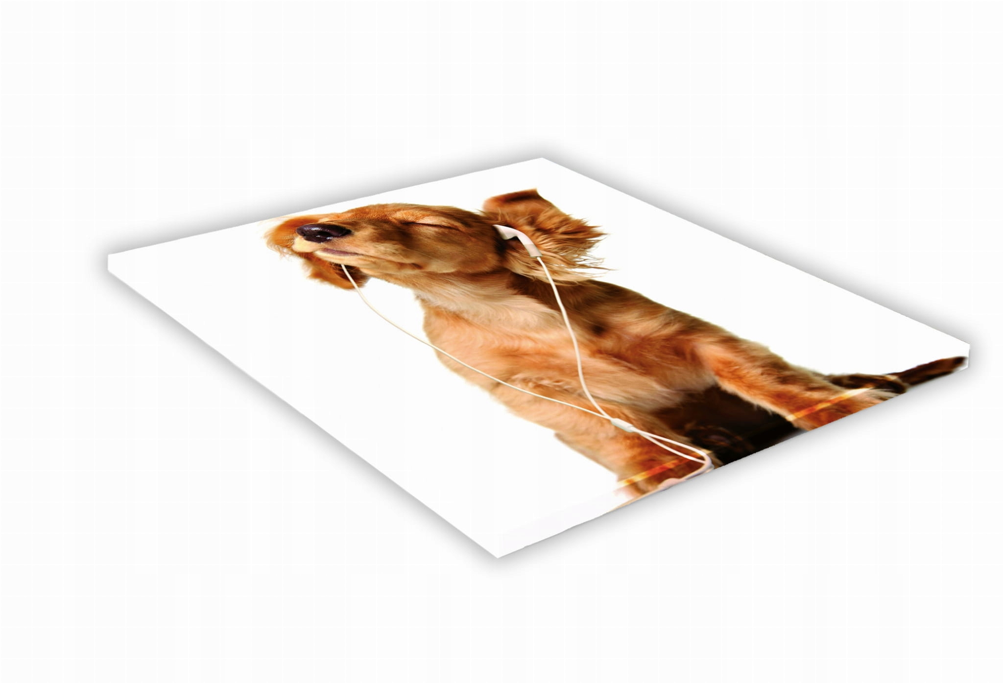 SZKLANA DESKA KUCHENNA 30x30 462f Jamnik miniatura