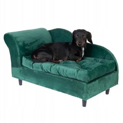 Tiaki klasyczna sofa zielona, legowisko dla psa