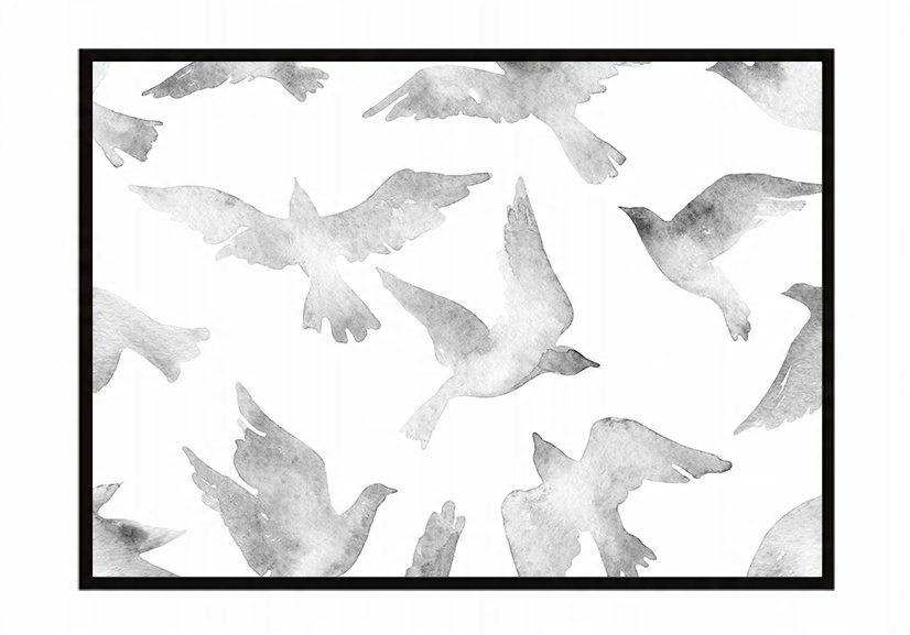 

Obraz Plakat W Ramie 53x73 cm Ptaki P929