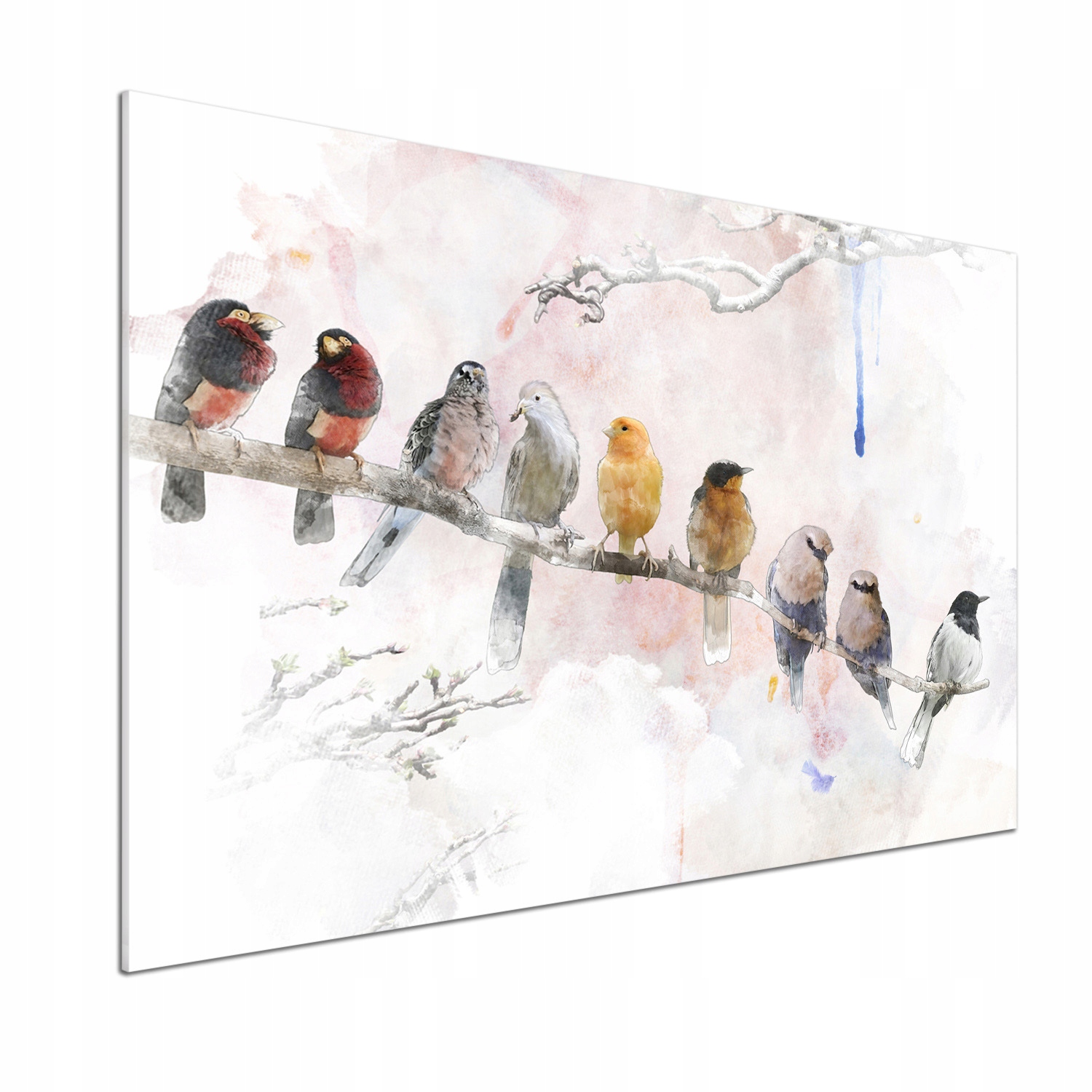 Panel do kuchyně Ptáci na větvi 100x70 cm Lepidlo