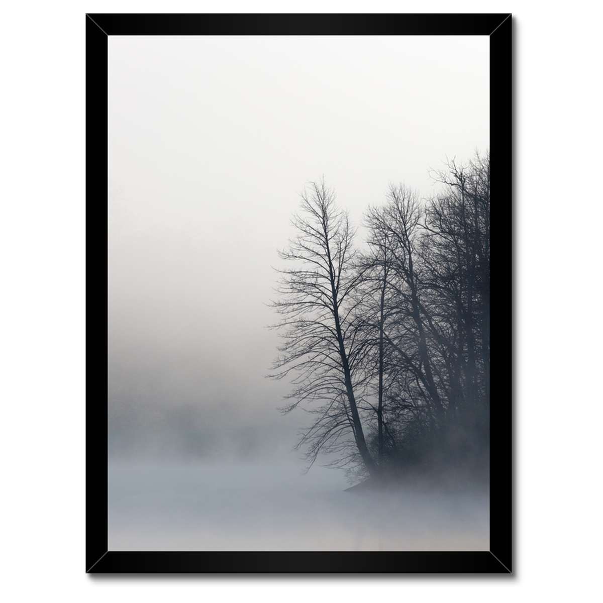 Plakáty v rámu 30x40 Mlžný les Zima