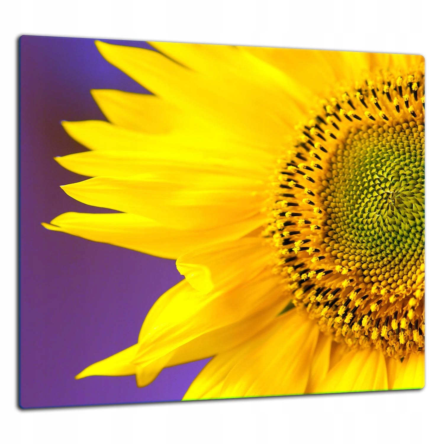 Skleněná Ochranná Deska Panel Lepidlo 65x60 Květina