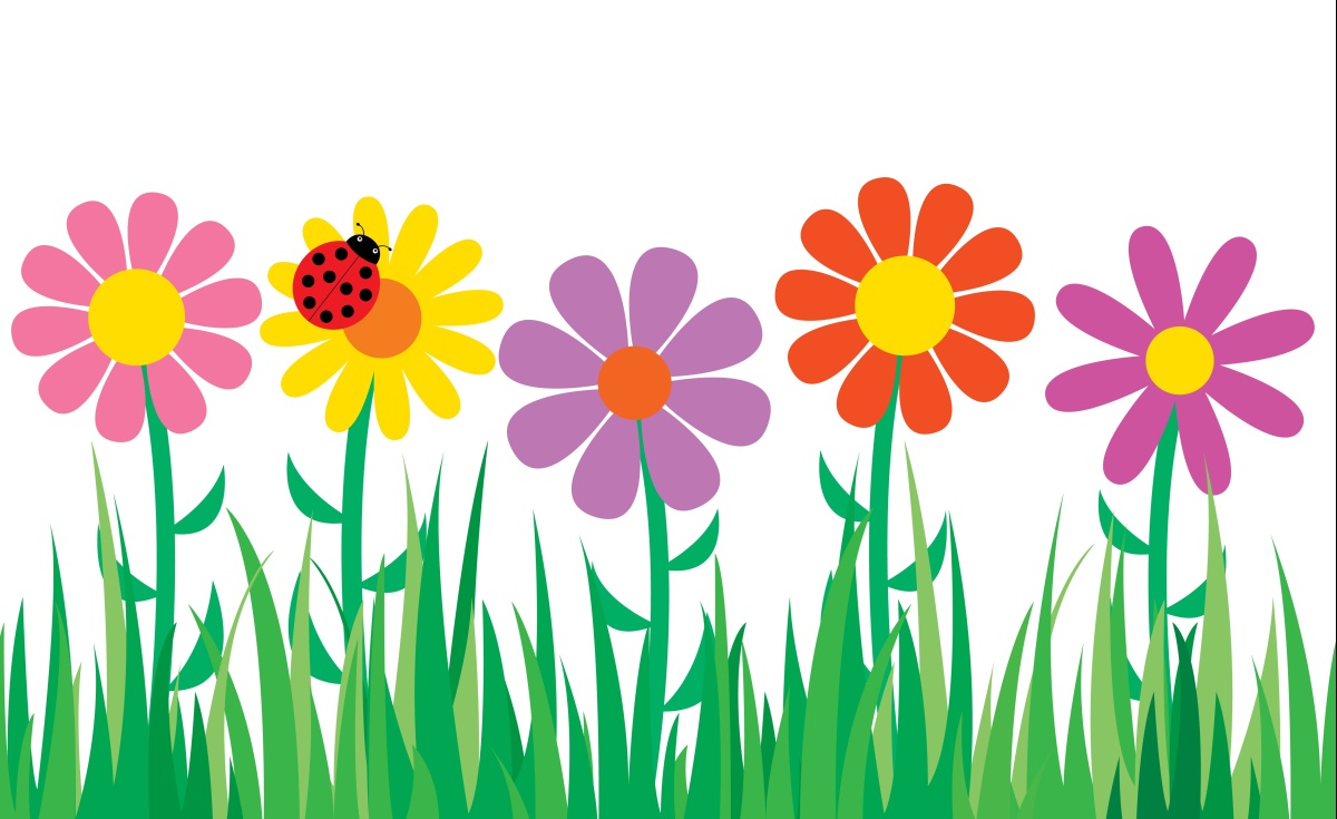 

Tapeta flizelinowa Kwiaty 416x254