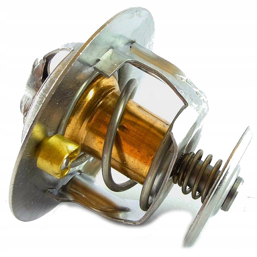 Termostat Motoru 1.0 Ecoboost Ford Mnoho Modelů 1812482 CM5G-61J20-AA