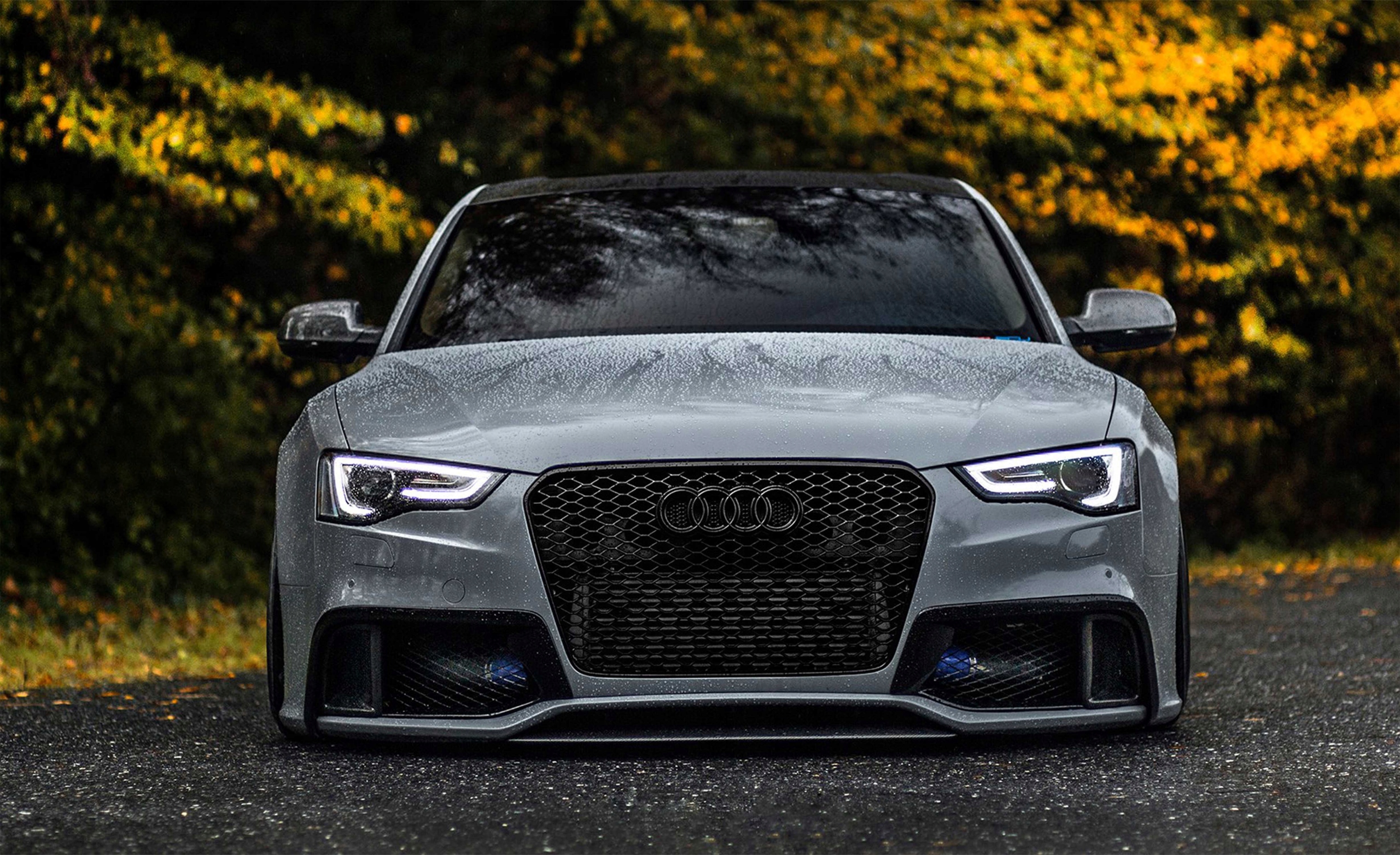 

Fototapeta Audi 09 416x254