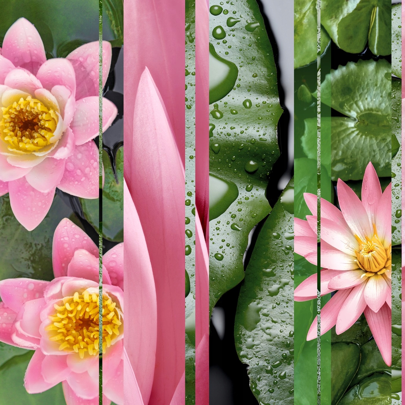 ZAPAS DO AUTOMATYCZNEGO ODŚWIEŻACZA POWIETRZA GLADE RELAXING ZEN 269ML Rodzaj dyfuzor