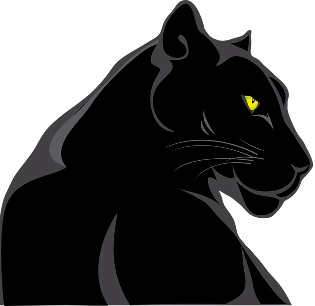 Naklejka 3D na Samochód Auto Gadżety Wodoodporna Czarna Puma Kot Tygrys