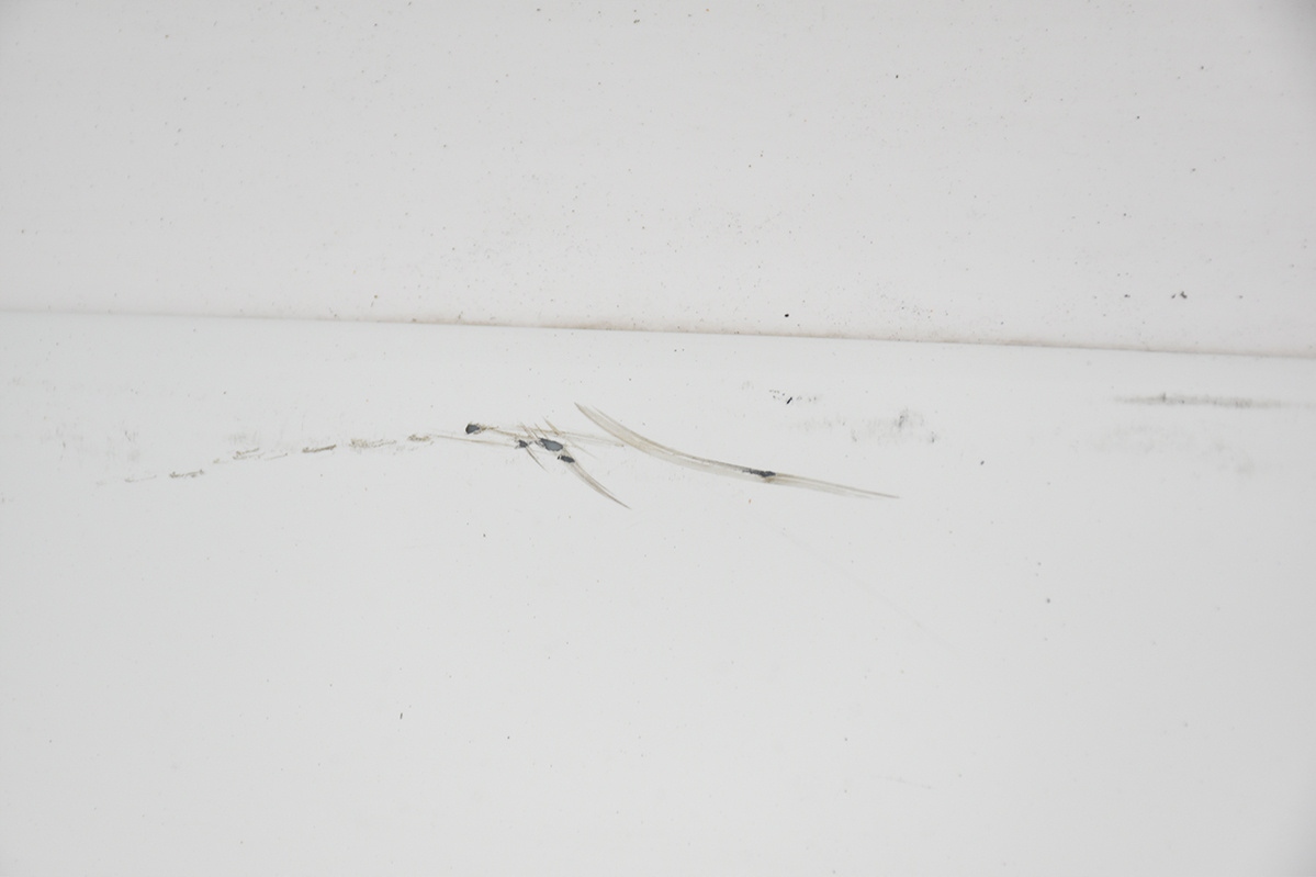 trunk door * boot rear rear part MG 3